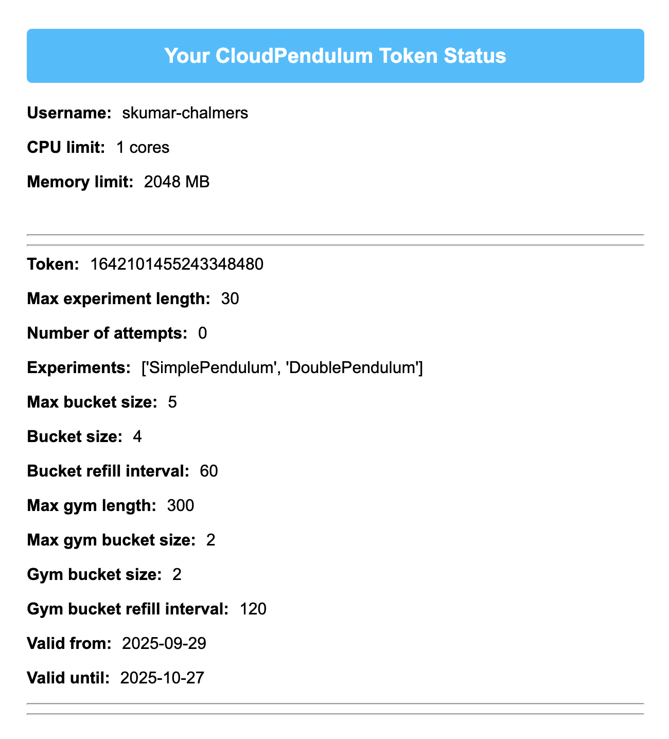 Token and compute status screenshot